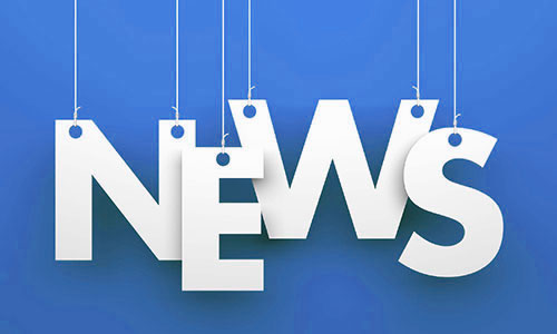 苗床 - 您植物生長的理想起點 苗床 - 您植物生長的理想起點